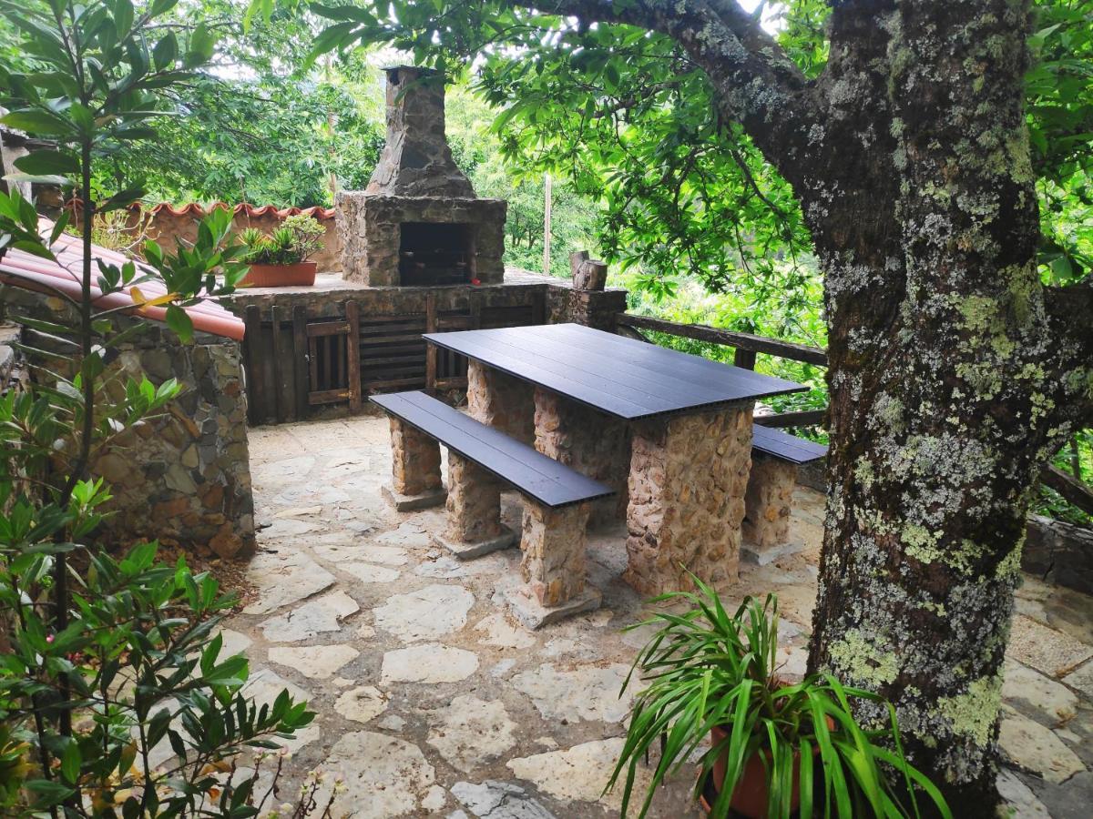 Casa Em Xisto Na Serra Da Lousa, Gondramaz Exterior foto